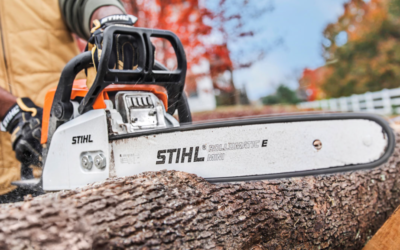 Stihl MS 170 reviews – Pros, Cons and The Best Price