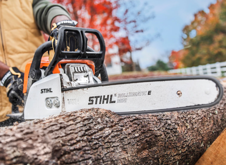 Stihl MS 170 reviews – Pros, Cons and The Best Price
